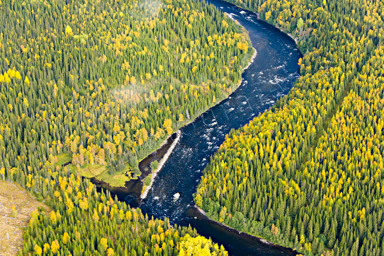 Norängesströmmen i Åreälven drönarbilder, drönarfoto, flygbild, flygbilder, Flygfoto, flygfoton, höst, Jämtland, Norängesströmmen, vattendrag, Åreälven, älvar