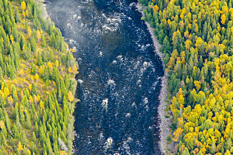 Norängesströmmen i Åreälven drönarbilder, drönarfoto, flygbild, flygbilder, Flygfoto, flygfoton, höst, Jämtland, Norängesströmmen, vattendrag, Åreälven, älvar