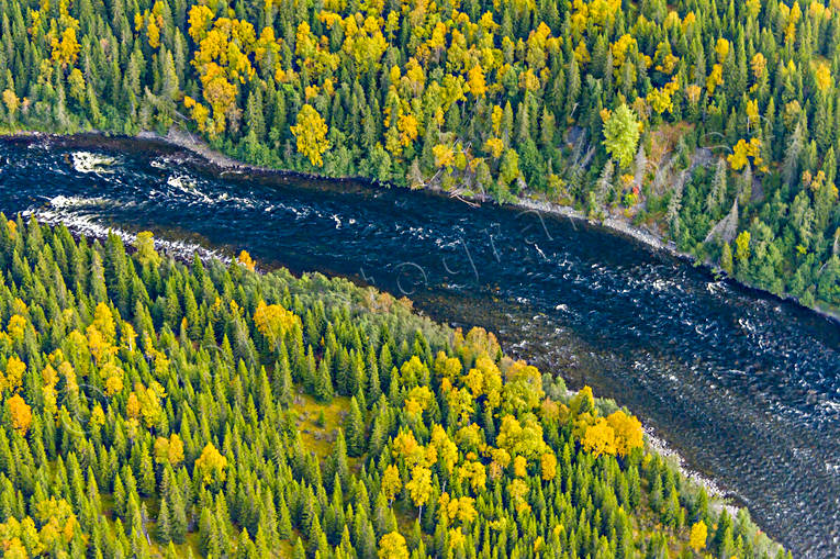 Norängesströmmen i Åreälven drönarbilder, drönarfoto, flygbild, flygbilder, Flygfoto, flygfoton, höst, Jämtland, Norängesströmmen, vattendrag, Åreälven, älvar