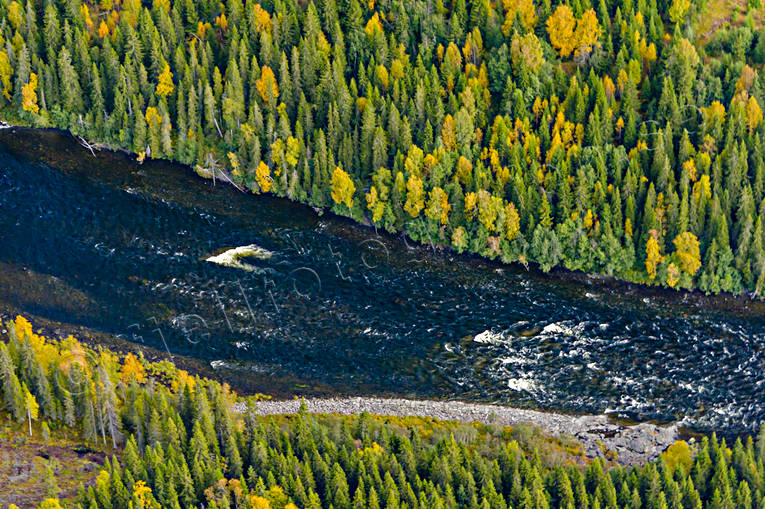 Norängesströmmen i Åreälven drönarbilder, drönarfoto, flygbild, flygbilder, Flygfoto, flygfoton, höst, Jämtland, Norängesströmmen, vattendrag, Åreälven, älvar