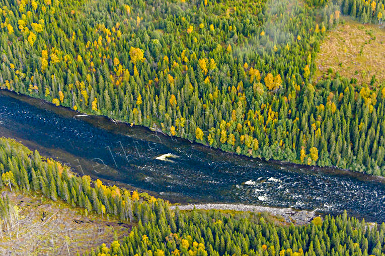 Norängesströmmen i Åreälven drönarbilder, drönarfoto, flygbild, flygbilder, Flygfoto, flygfoton, höst, Jämtland, Norängesströmmen, vattendrag, Åreälven, älvar