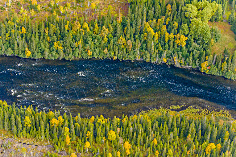 Norängesströmmen i Åreälven drönarbilder, drönarfoto, flygbild, flygbilder, Flygfoto, flygfoton, höst, Jämtland, Norängesströmmen, vattendrag, Åreälven, älvar