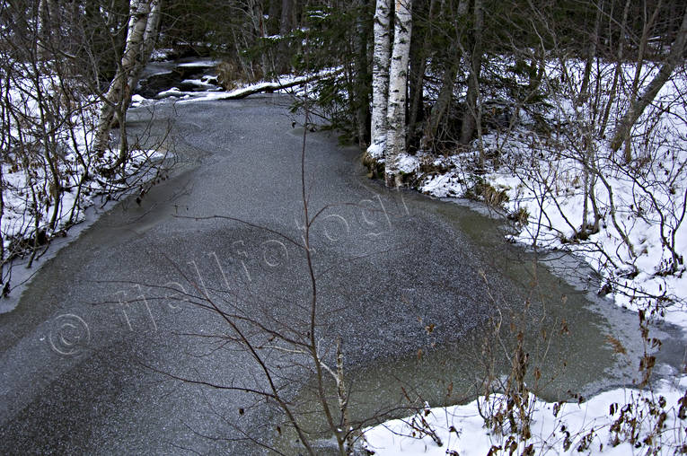 Nyfrusen skogsbäck bäck, frusen, is, natur, nyfrusen, nyis, skog, skogsbäck, skogsmark, vattendrag, Vålbacksån