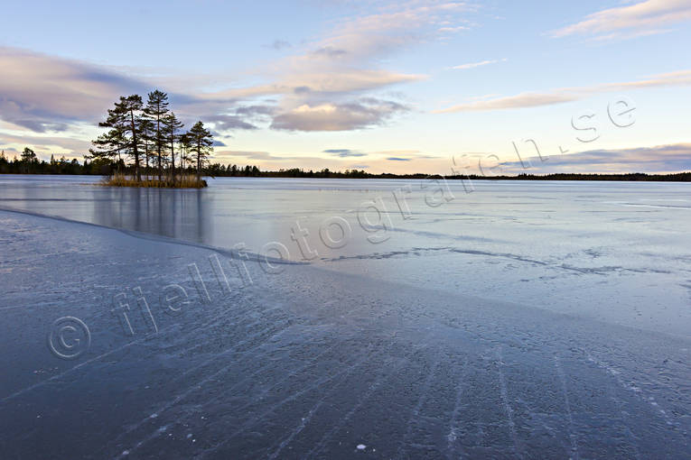 Nyis på Mellansvartsjön Jämtland, Landskap, Mellansvartsjön, novemberis, nyis, Svartsjöarna, vinter