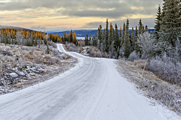 Nysnö på Husåvägen halt, husåvägen, höst, Jämtland, kalt, kommunikationer, landfart, Landskap, vinter, vinterväg, årstider