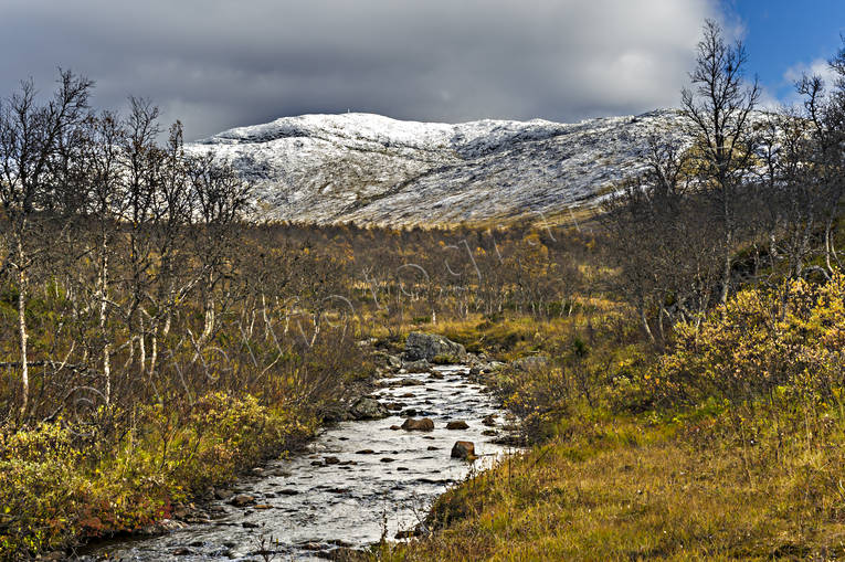 Nysnö på Åreskutan björkskog, bäck, fjäll, fjällbäck, höst, höstfärger, Jämtland, Landskap, myr, nysnö, vitt, Åreskutan