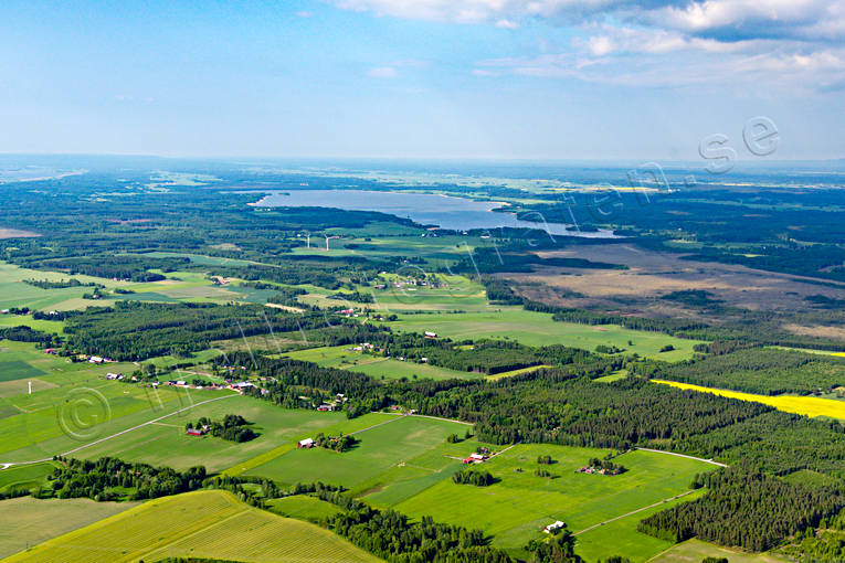Odlingslandskap Västergötland drönarbilder, drönarfoto, flygbild, flygbilder, Flygfoto, flygfoton, Fredsbergs, kulturlandskap, Landskap, mosse, odlingslandskap, sommar, Västergötland, åkermark