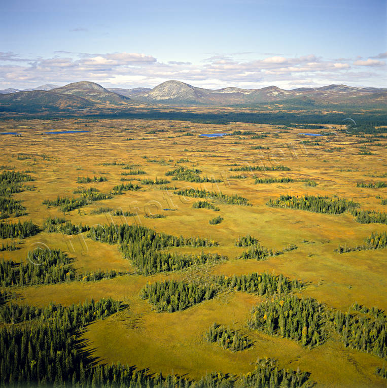 Oldflon mot Oldfjällen drönarbilder, drönarfoto, Duvvegaise, fjällbilder, FJÄLLEN, flygbild, flygbilder, Flygfoto, flygfoton, Guoblemesjene, höst, Jämtland, Jänsmässholmen, Kvällsklumpen, Landskap, Lappluvan, myrar, myrlandskap, myrmarker, Offerdalsfjällen, Oldfjällen, oldflon, Storrun