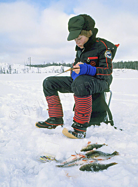 Pimpelfiske efter abborre abborre, abborrfiske, fiske, Landsomsjön, pimpel, pimpelfiske, pojke, sportfiske, vinterfiske