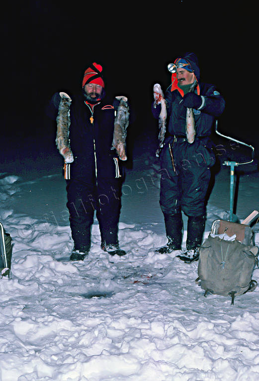 Pimpelfiske efter lake fiske, lakfiske, nattfiske, pimpel, pimpelfiske, sjö, sportfiske, vinterfiske
