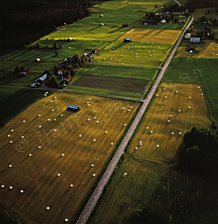 Plastade höbalar på åkermark drönarbilder, drönarfoto, flygbild, flygbilder, Flygfoto, flygfoton, höbal, jordbruk, Jämtland, Landskap, landsväg, lantbruk, Locknesjön, odlingsmark, rundbal, sommar, åker, åkermark