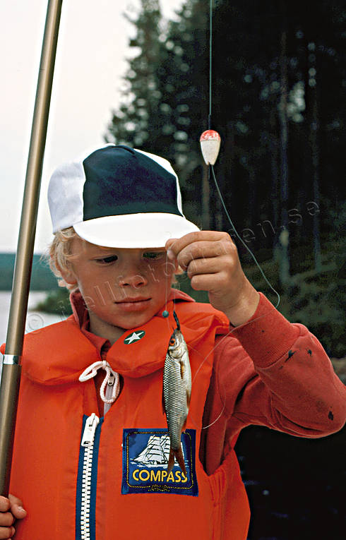 Pojke med metspö och mört fiske, mete, metspö, mört, pojke, sportfiske