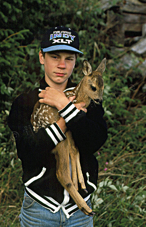 Pojke med rådjurskilling bambi, djur, däggdjur, killing, pojke, rådjur, rådjurskilling