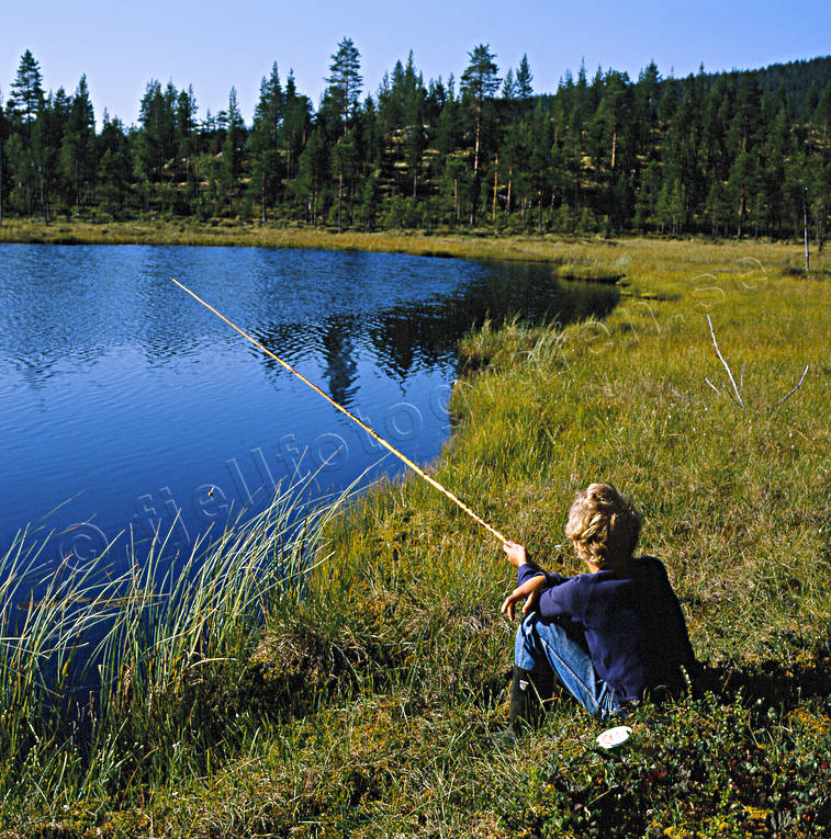 Pojke metar i skogstjärn fiske, mete, pojke, skogstjärn, sommar, sportfiske