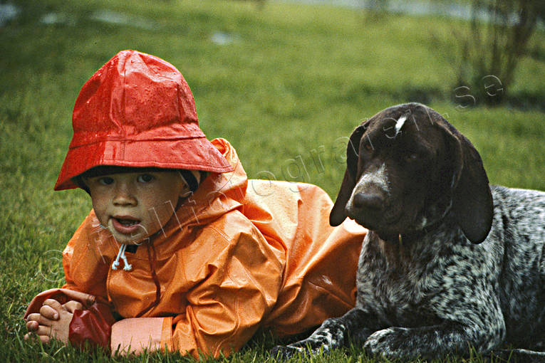 Pojke och hund i regnväder friluftsliv, hund, kompis, kompisar, leka, leker, pojke, regn, regnväder, sommar, uteliv, äventyr