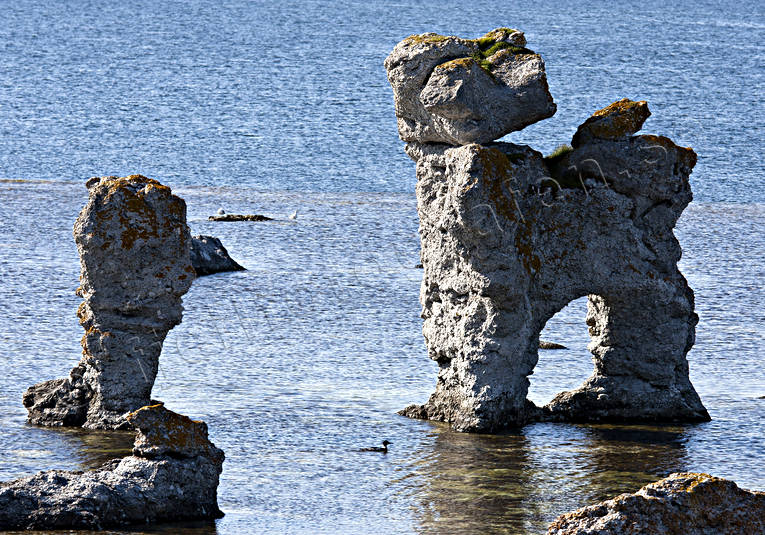 Fr, Gamle-Hamn, Gotland, hav, Landskap, natur, raukar, sommar, rstider