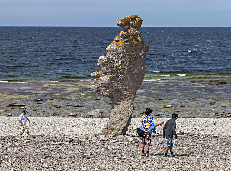 Fr, Gotland, Langhammar, Langhammars, natur, naturreservat, rauk, raukar, sommar, rstider
