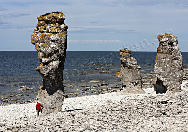 Fr, Gotland, hav, Landskap, Langhammar, Langhammars, natur, rauk, raukar, sommar, rstider