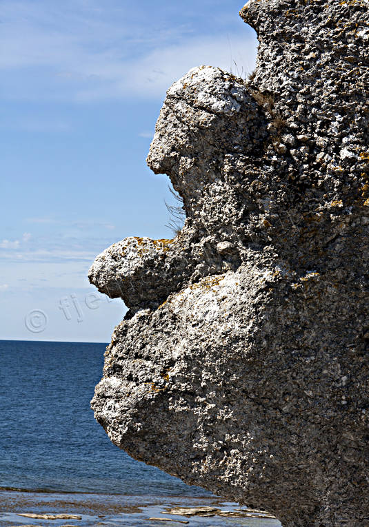 Fr, Gotland, hav, Landskap, Langhammar, Langhammars, natur, rauk, raukar, sommar, rstider