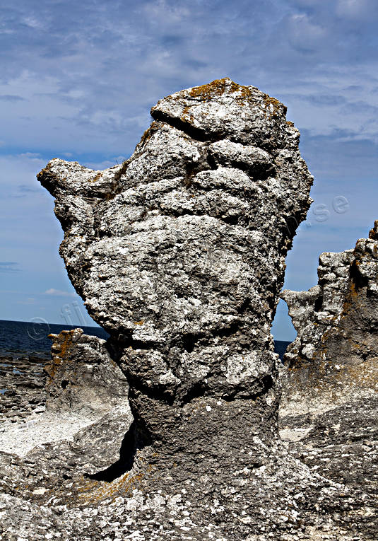 Fr, Gotland, hav, Landskap, Langhammar, Langhammars, natur, rauk, raukar, sommar, rstider