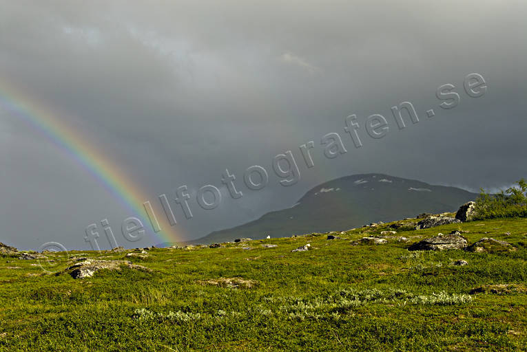 Regnbåge i Padjelanta Landskap, lappland, nationalpark, Padjelanta, regnbåge, sommar