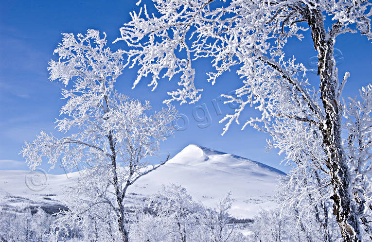 fjll, Gaisare, Landskap, lappland, rimfrost, sn, stmningsbild, vinter, vinterfjll, vita vidder, rstid, rstider