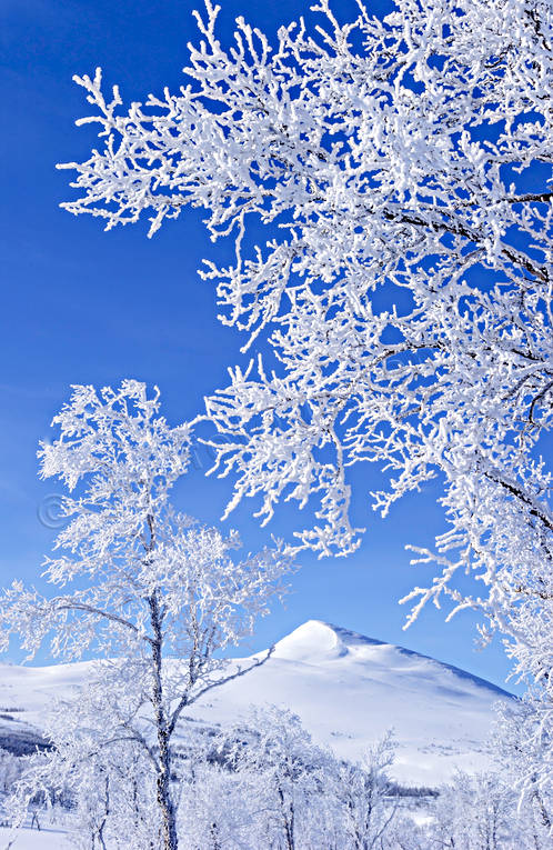 fjll, Gaisare, Landskap, lappland, rimfrost, sn, stmningsbild, vinter, vinterfjll, vita vidder, rstid, rstider