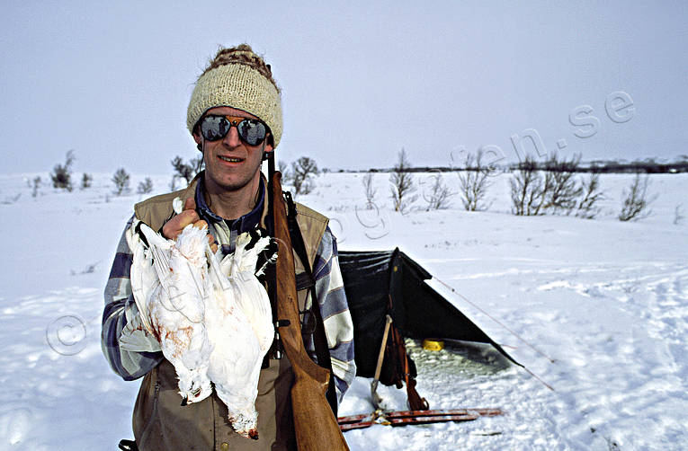 camping, fjll, jakt, ripa, ripjakt, ripjgare, tlt, vinter, vinterjakt ripa, vinterripa