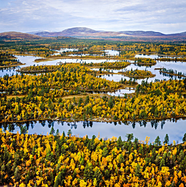 Rogenmorän i Rogen drönarbilder, drönarfoto, fjällbilder, flygbild, flygbilder, Flygfoto, flygfoton, Härjedalen, höst, höstfärger, naturreservat, Rogen, Rogenmorän, Rogens, vildmark, ödemark