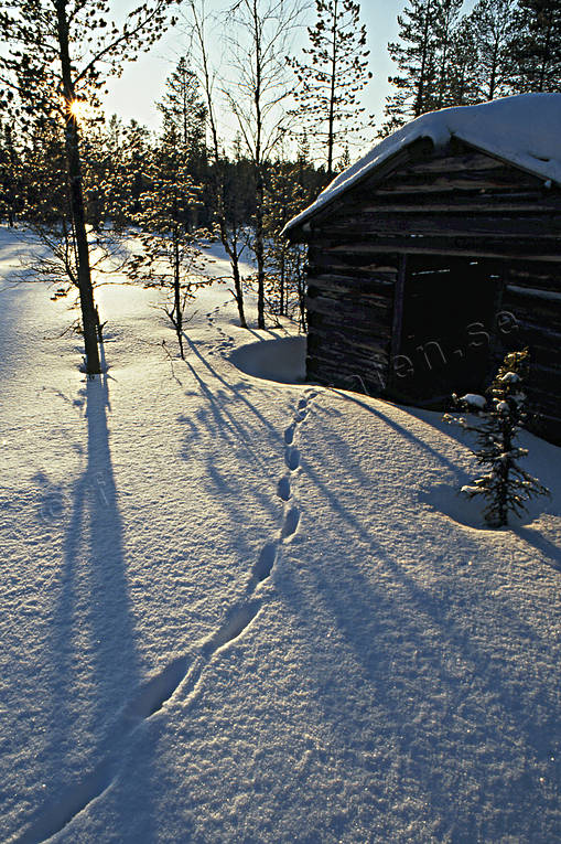 julkort, julstmning, Jmtland, lada, Landskap, rv, rvspr, solnedgng, stmning, stmningsbild, stmningsbilder, vinter
