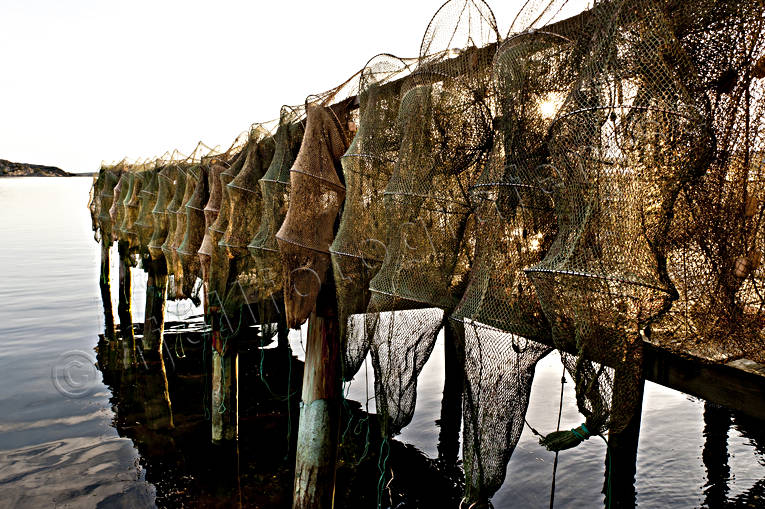 arbete, fiskeredskap, fngsredskap, hav, kust, nt, ryssjor, sommar, yrkesfiske