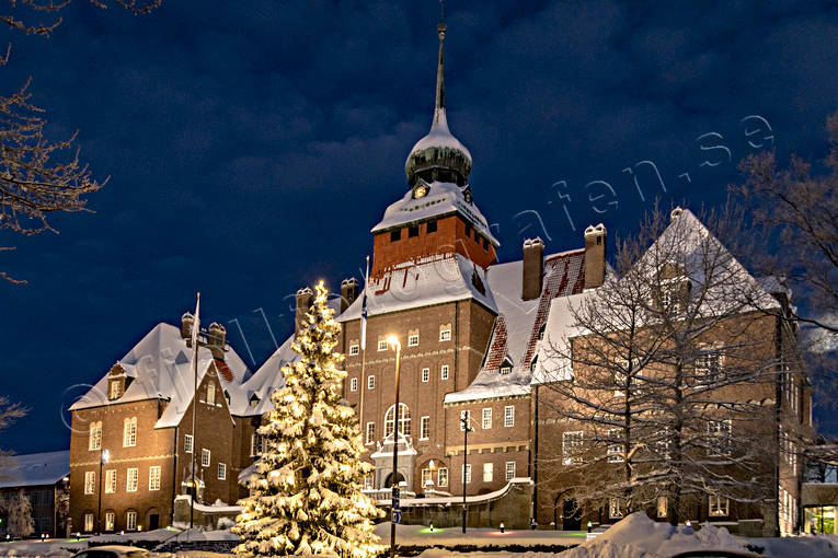 julgran, julstämning, Jämtland, kväll, Rådhuset, snö, stad, städer, stämning, stämningsbild, stämningsbilder, vinter, vinterkväll, vinterstämning, Östersund