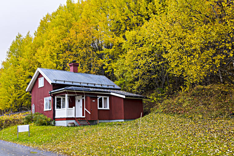 Röd stuga gula löv byggnader, fritidshus, höst, höstfärger, höstlöv, Jämtland, stuga, stugor