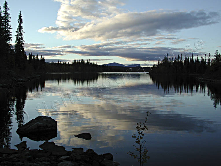 borgafjllen, Borgahllan, Jmtland, kvll, Saxvattnet, skog, skogssj, sommar, stmning, stmningsbild, stmningsbilder, vildmark, rstid, rstider, demark