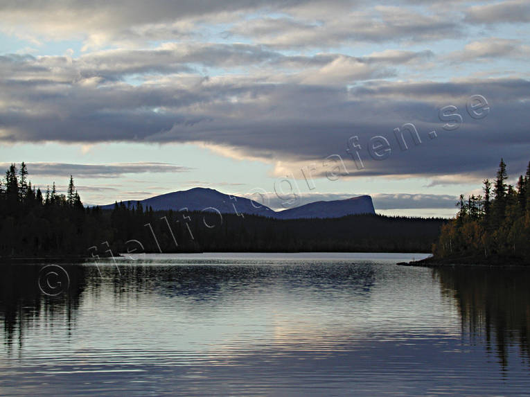 borgafjllen, Borgahllan, Jmtland, kvll, Saxvattnet, skog, skogssj, sommar, stmning, stmningsbild, stmningsbilder, vildmark, rstid, rstider, demark