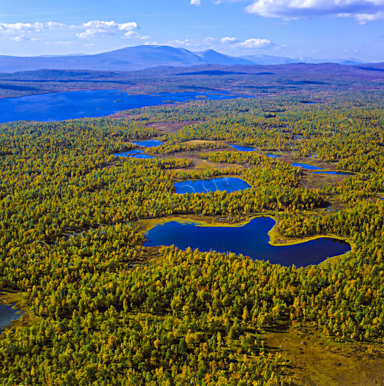 Sjön Lutaure i Pieljekaise nationalpark drönarbilder, drönarfoto, flygbild, flygbilder, Flygfoto, flygfoton, höst, höstfärger, Landskap, lappland, nationalparker, Pieljekaise, Svenska Fjällen, Tjallasjaure