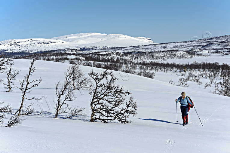 Anarisfjllen, fjll, fjllen, Jmtland, skidor, skidkare, skidkning, turkning, vinter, vrvinter, rstid, rstider, ventyr