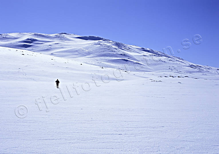 bl, fjll, fllvidder, skidor, skidkare, skidkning, Skuolkenjaure, sn, snvidder, sol, turkning, vinter, vrfjll, vrvinter, ventyr