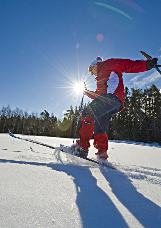 motljus, skidor, skidkare, skidkning, sn, solsken, turkning, vinter, vrvinter, ventyr