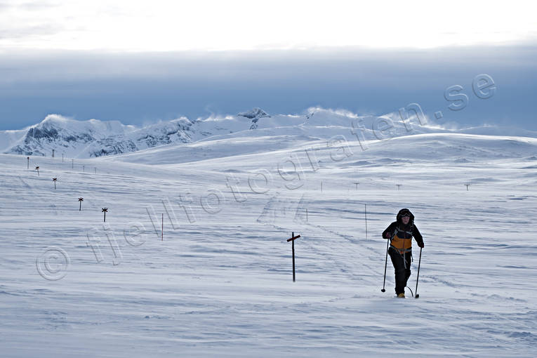 fjll, fjllandskap, fjllen, fjllnatur, fjlltopp, fjllturism, fjllturist, fritid, hgfjll, hgfjllen, Jmtland, Landskap, natur, skidor, skidtur, skidkning, sn, snflt, stmningsbild, stmningsbilder, sylarna, sylfjllen, Sylmassivet, Syltoppen, turkare, turkning, vinterbild, vinterfjll, vinterlandskap, vinterstmning, rstid, rstider