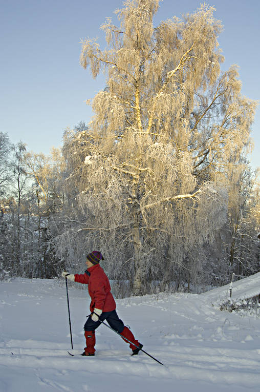 julstmning, skidor, skidkning, skog, stmning, stmningsbild, stmningsbilder, turkare, turkning, vinter, rstid, rstider, ventyr