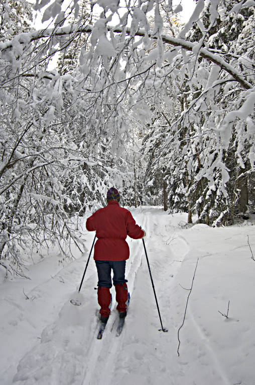 julstmning, skidor, skidkning, skog, sntunga, stmning, stmningsbild, stmningsbilder, trd, turkare, turkning, upplega, vinter, rstid, rstider, ventyr