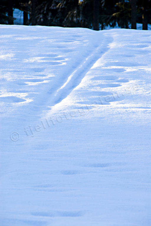 jul, julbilder, julkort, julstmning, sn, stmning, stmningsbild, stmningsbilder, vinter, vinterbilder, rstid, rstider