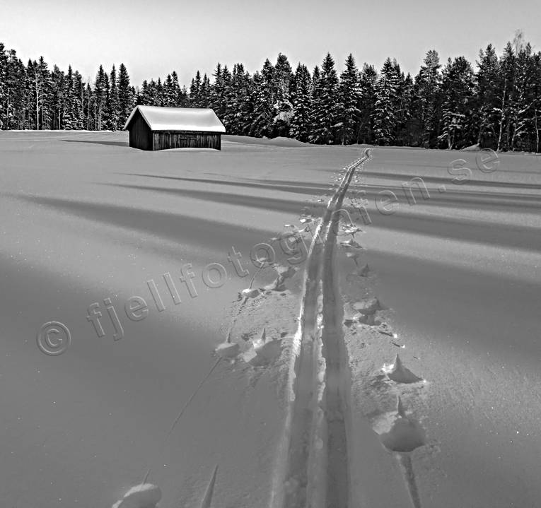 djupsn, friluftlsliv, Jmtland, lada, Landskap, skidspr, skidkning, sn, spr, turkning, vinter, rstid, rstider, ventyr