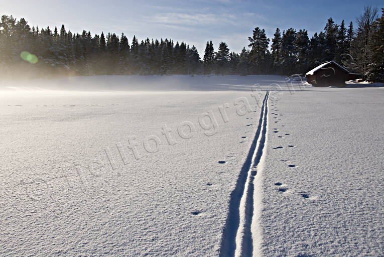 kallt, kyla, midvinter, skidspr, sn, vinter, rstid, rstider