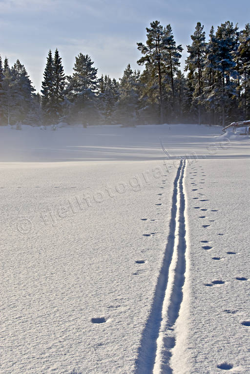 kallt, kyla, midvinter, skidspr, sn, vinter, rstid, rstider