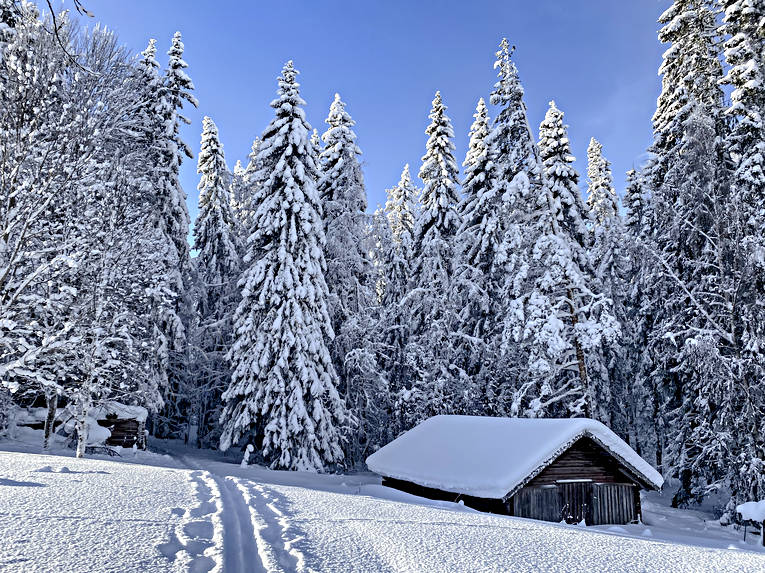 granar, hgvinter, julstmning, lada, midvinter, skog, sn, sntyngda, stmning, stmningsbild, stmningsbilder, vinter, rstid, rstider