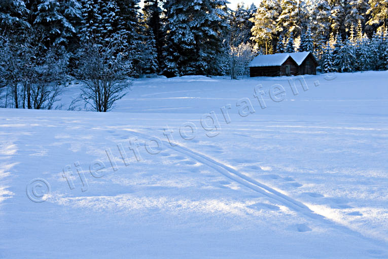 jul, julbilder, julkort, julstmning, sn, stmning, stmningsbild, stmningsbilder, vinter, vinterbilder, rstid, rstider