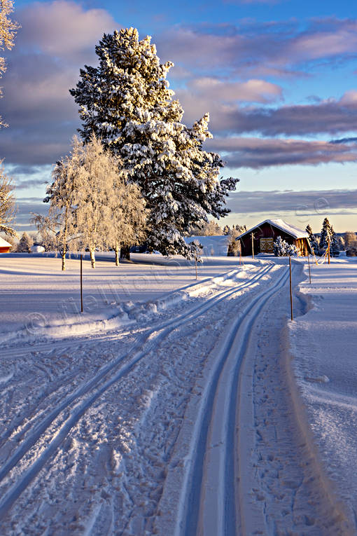 friluftsliv, Jämtland, Landskap, skidor, skidspår, snö, stämning, stämningsbild, stämningsbilder, turåkning, vinter, årstid, årstider, äventyr