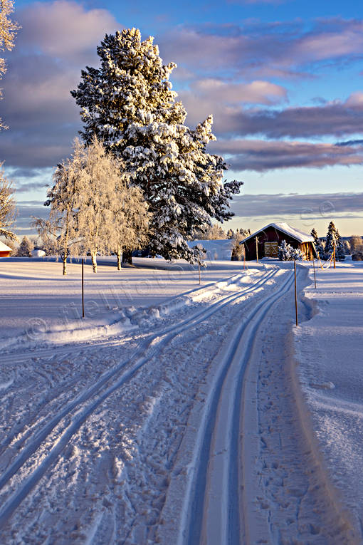 Skidspår friluftsliv, Jämtland, Landskap, skidor, skidspår, snö, stämning, stämningsbild, stämningsbilder, turåkning, vinter, årstid, årstider, äventyr